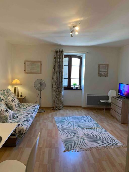 Aubenas Plein Centre Tout Pres Du Chateau ภายนอก รูปภาพ